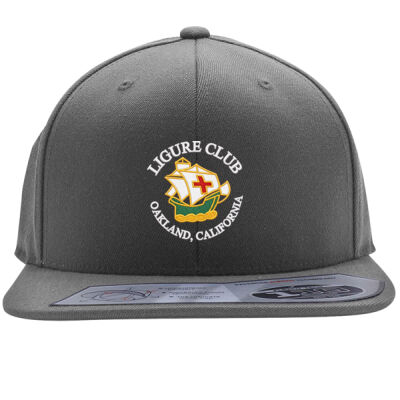 Ligure Official - Dark Design - Flexfit 110F Structured Flat Bill Snapback Hat-ND Thumbnail