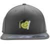 Flexfit 110F Structured Flat Bill Snapback Hat Thumbnail