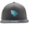 Flexfit 110F Structured Flat Bill Snapback Hat Thumbnail