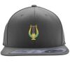 Flexfit 110F Structured Flat Bill Snapback Hat Thumbnail