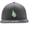 Flexfit 110F Structured Flat Bill Snapback Hat Thumbnail