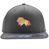 Flexfit 110F Structured Flat Bill Snapback Hat Thumbnail
