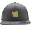 Flexfit 110F Structured Flat Bill Snapback Hat Thumbnail