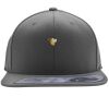 Flexfit 110F Structured Flat Bill Snapback Hat Thumbnail