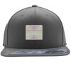 Flexfit 110F Structured Flat Bill Snapback Hat Thumbnail
