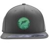 Flexfit 110F Structured Flat Bill Snapback Hat Thumbnail