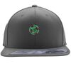 Flexfit 110F Structured Flat Bill Snapback Hat Thumbnail
