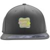 Flexfit 110F Structured Flat Bill Snapback Hat Thumbnail
