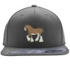 Flexfit 110F Structured Flat Bill Snapback Hat Thumbnail