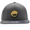 Flexfit 110F Structured Flat Bill Snapback Hat Thumbnail