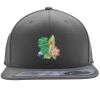 Flexfit 110F Structured Flat Bill Snapback Hat Thumbnail