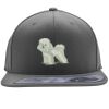 Flexfit 110F Structured Flat Bill Snapback Hat Thumbnail