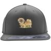 Flexfit 110F Structured Flat Bill Snapback Hat Thumbnail