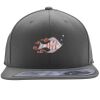 Flexfit 110F Structured Flat Bill Snapback Hat Thumbnail