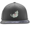 Flexfit 110F Structured Flat Bill Snapback Hat Thumbnail