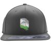 Flexfit 110F Structured Flat Bill Snapback Hat Thumbnail
