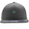 Flexfit 110F Structured Flat Bill Snapback Hat Thumbnail