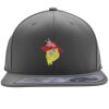 Flexfit 110F Structured Flat Bill Snapback Hat Thumbnail