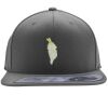 Flexfit 110F Structured Flat Bill Snapback Hat Thumbnail