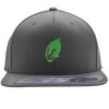 Flexfit 110F Structured Flat Bill Snapback Hat Thumbnail