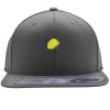 Flexfit 110F Structured Flat Bill Snapback Hat Thumbnail