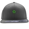 Flexfit 110F Structured Flat Bill Snapback Hat Thumbnail
