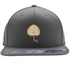 Flexfit 110F Structured Flat Bill Snapback Hat Thumbnail