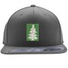Flexfit 110F Structured Flat Bill Snapback Hat Thumbnail