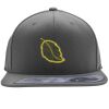 Flexfit 110F Structured Flat Bill Snapback Hat Thumbnail