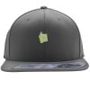 Flexfit 110F Structured Flat Bill Snapback Hat Thumbnail