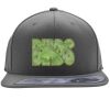 Flexfit 110F Structured Flat Bill Snapback Hat Thumbnail