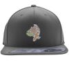 Flexfit 110F Structured Flat Bill Snapback Hat Thumbnail