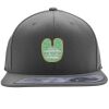 Flexfit 110F Structured Flat Bill Snapback Hat Thumbnail