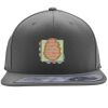Flexfit 110F Structured Flat Bill Snapback Hat Thumbnail