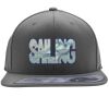 Flexfit 110F Structured Flat Bill Snapback Hat Thumbnail