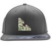 Flexfit 110F Structured Flat Bill Snapback Hat Thumbnail