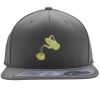Flexfit 110F Structured Flat Bill Snapback Hat Thumbnail