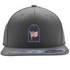 Flexfit 110F Structured Flat Bill Snapback Hat Thumbnail