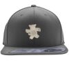 Flexfit 110F Structured Flat Bill Snapback Hat Thumbnail