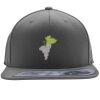 Flexfit 110F Structured Flat Bill Snapback Hat Thumbnail