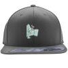 Flexfit 110F Structured Flat Bill Snapback Hat Thumbnail