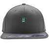 Flexfit 110F Structured Flat Bill Snapback Hat Thumbnail